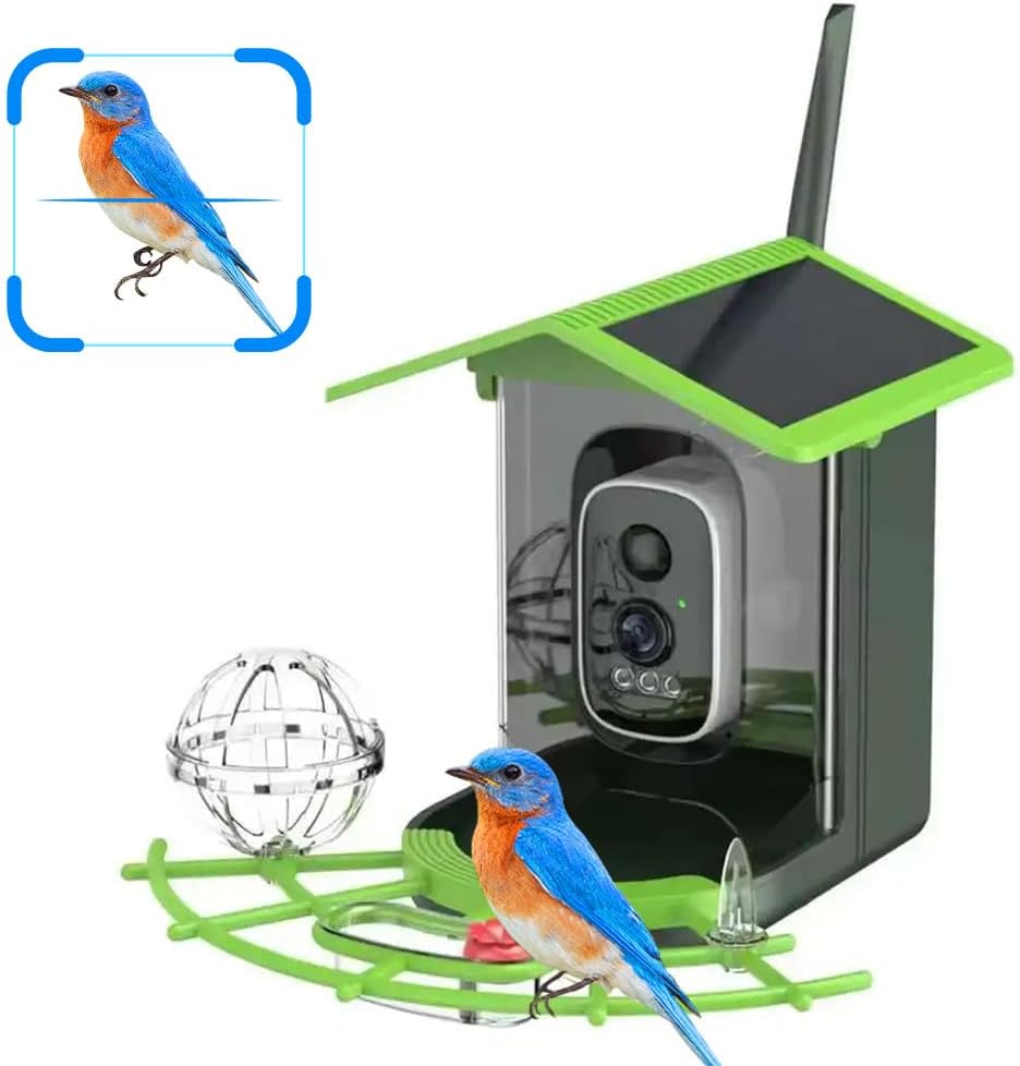 Real Time Bird watching WIFI A - A1 Watches & Jewelry New York Photos のレビューと価格