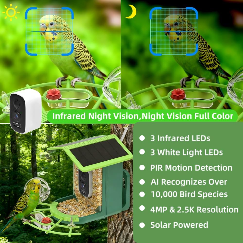 Real Time Bird watching WIFI A - A1 Watches & Jewelry New York Photos のレビューと価格