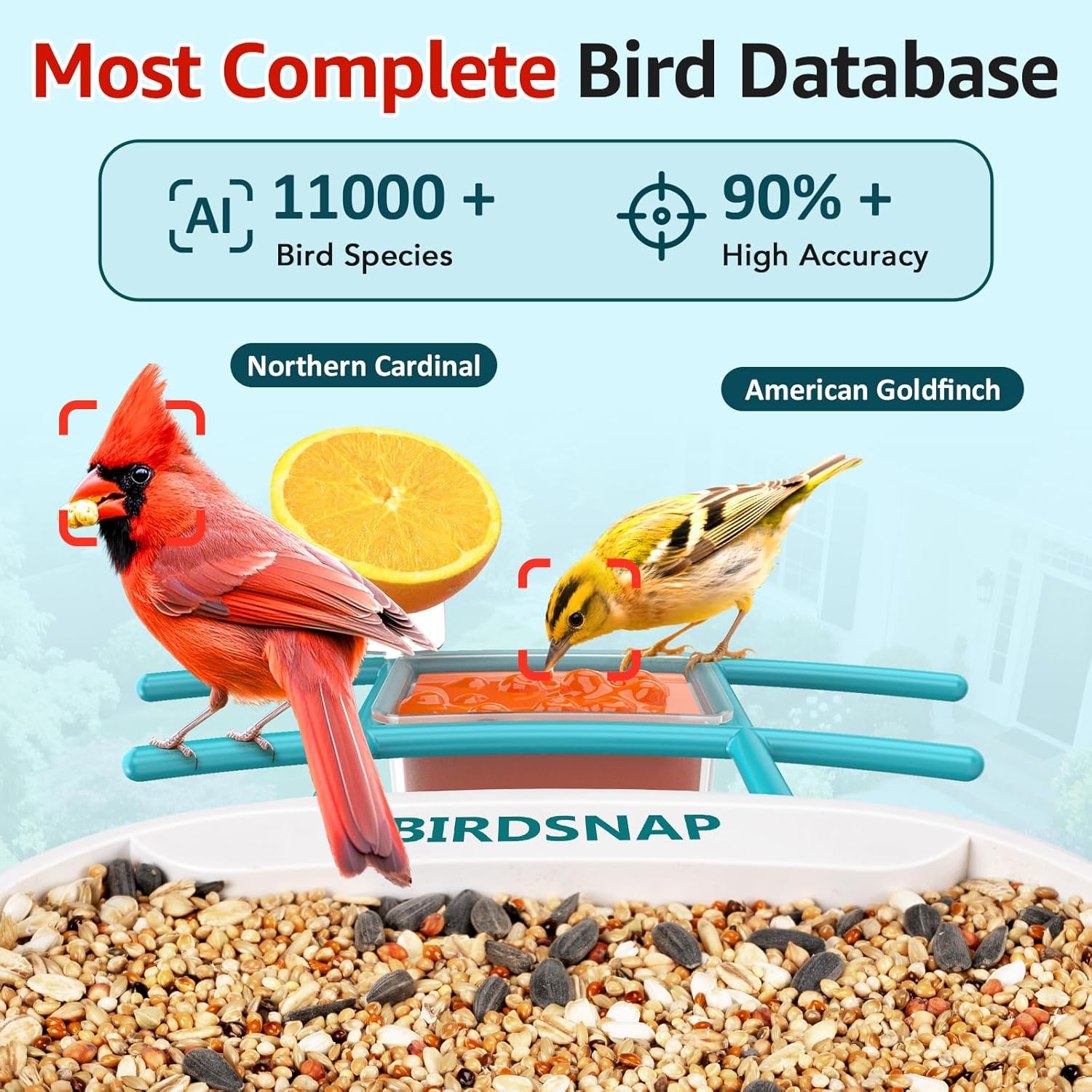 2K HD Bird Feeder Camera with  - Watches & Jewelry Repair Center Photos のレビューと価格