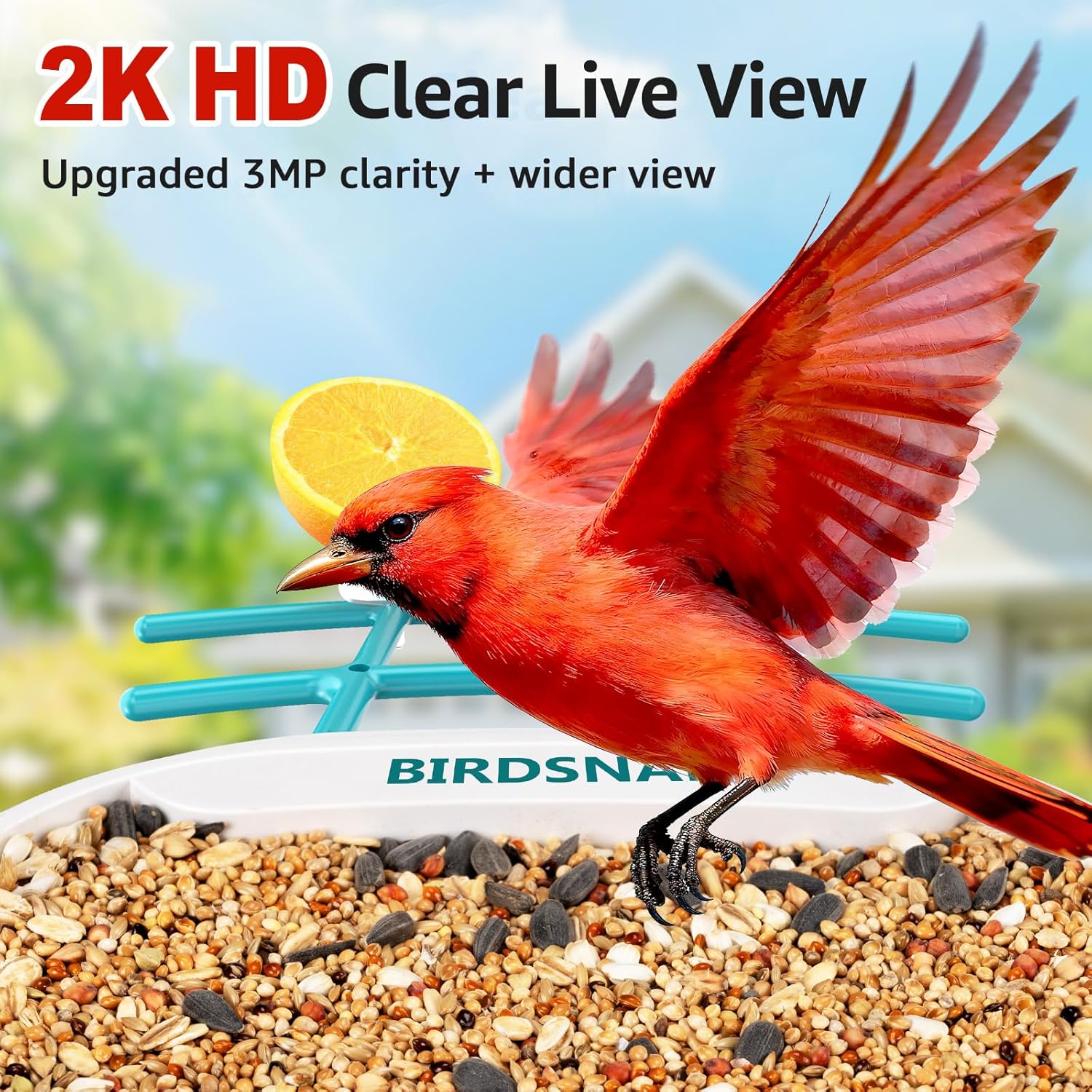 2K HD Bird Feeder Camera with  - Watches & Jewelry Repair Center Photos のレビューと価格